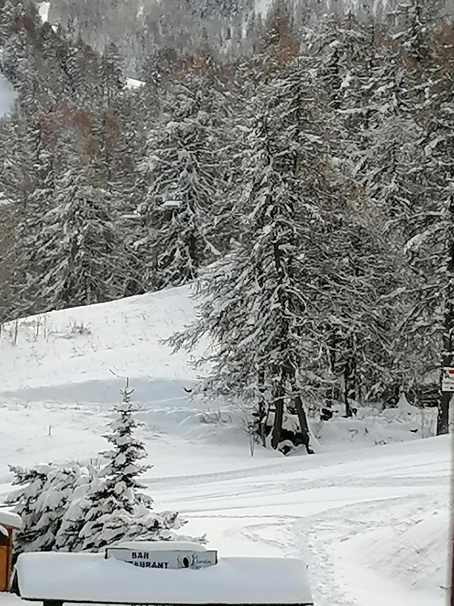 Coeur D'Altair Risoul 1850 Appartement T2 Confortable Skis Aux Pieds A 300 M Centre מראה חיצוני תמונה